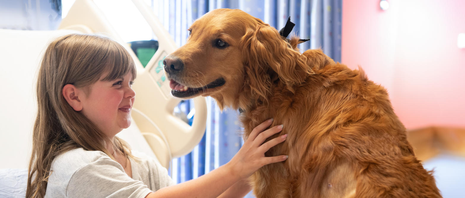 Smiling child petting a therapy dog