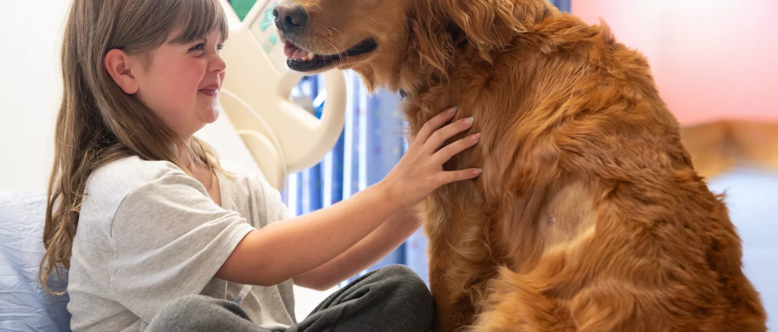 Smiling child petting a therapy dog