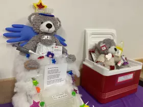 Two entries for the build a lab bear contest