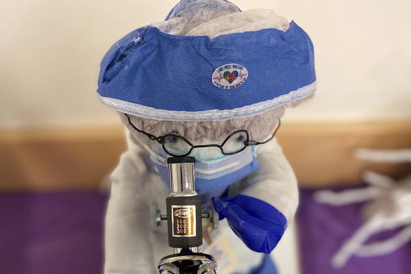 Build a bear entry by Angel WingSet from Pre and Post Analytical