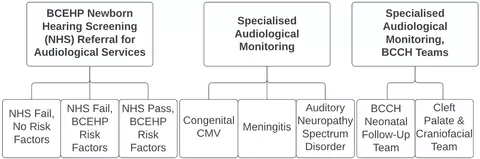 a flowchart showing the different audiology care paths